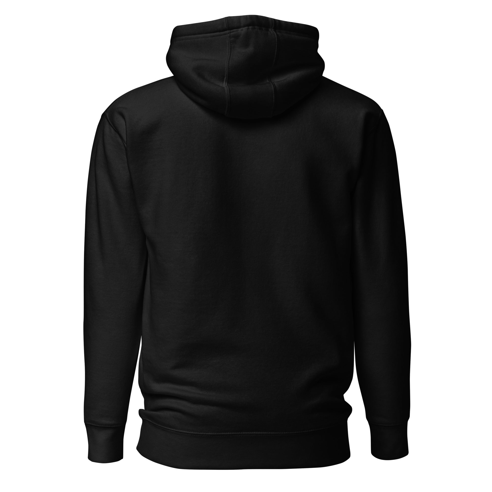 Black RevShine Premium Pullover Hoodie, unisex sweatshirt with a soft fabric and cozy fit, shown from the back.
